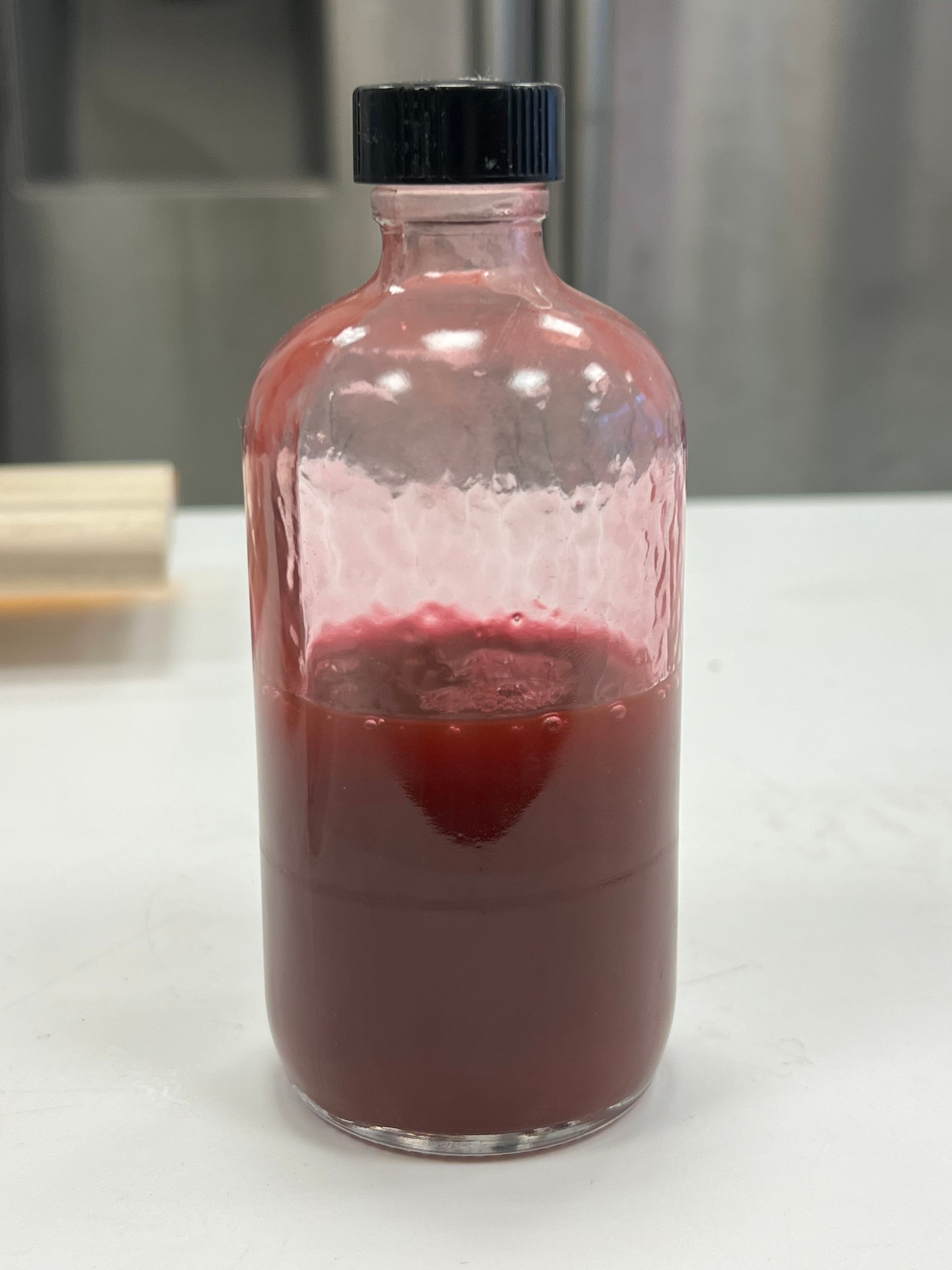 A capped glass bottle on a lab bench holding a deep red-magenta Serratia culture, the pigment settled into a dense layer at the bottom.