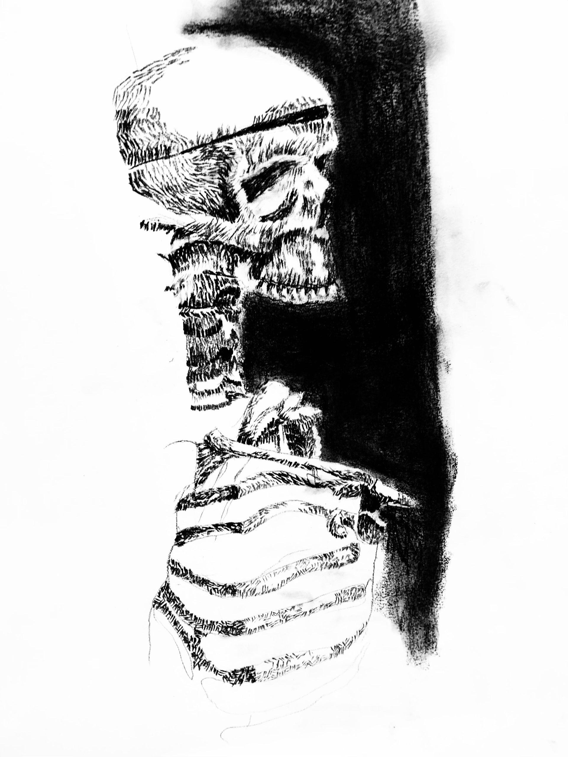 A pen-and-ink drawing of a skull wrapped in cloth above a skeletal hand and forearm, worked in dense hatching against a solid black field.