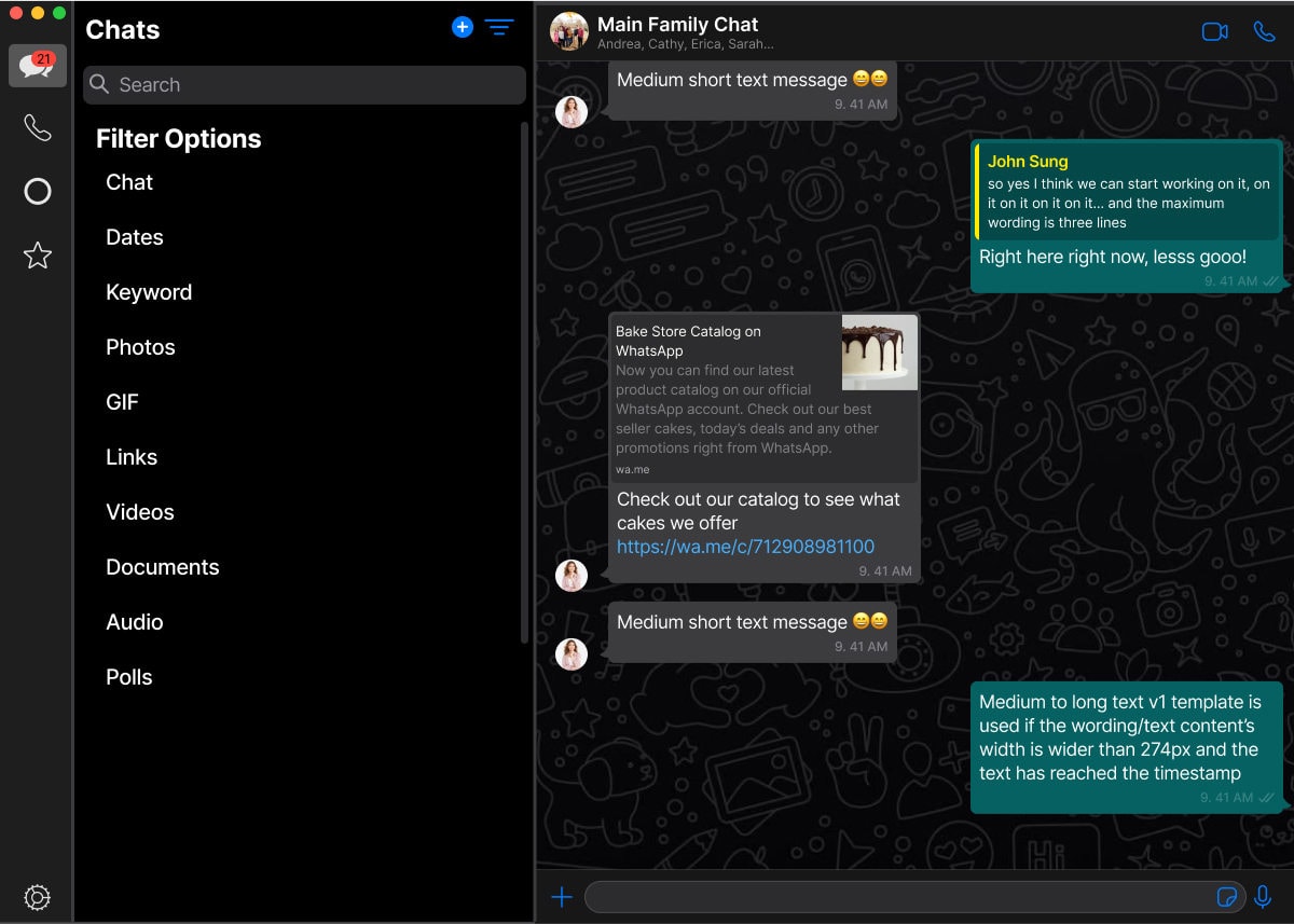 The desktop layout with the full Filter Options list expanded down the left column — Chat, Dates, Keyword, Photos, GIF, Links, Videos, Documents, Audio, Polls — beside an open conversation.