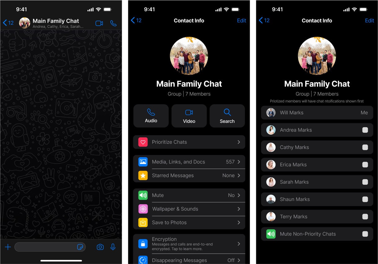 Three phone screens for the priority system: the Main Family Chat conversation open on the doodle wallpaper; the group's Contact Info with a pink-iconed “Prioritize Chats” row above Media, Links and Docs; and the prioritise list itself, where Will Marks is marked “Me” and Andrea, Cathy, Erica, Sarah, Shaun and Terry Marks each carry a checkbox, ending in “Mute Non-Priority Chats”.